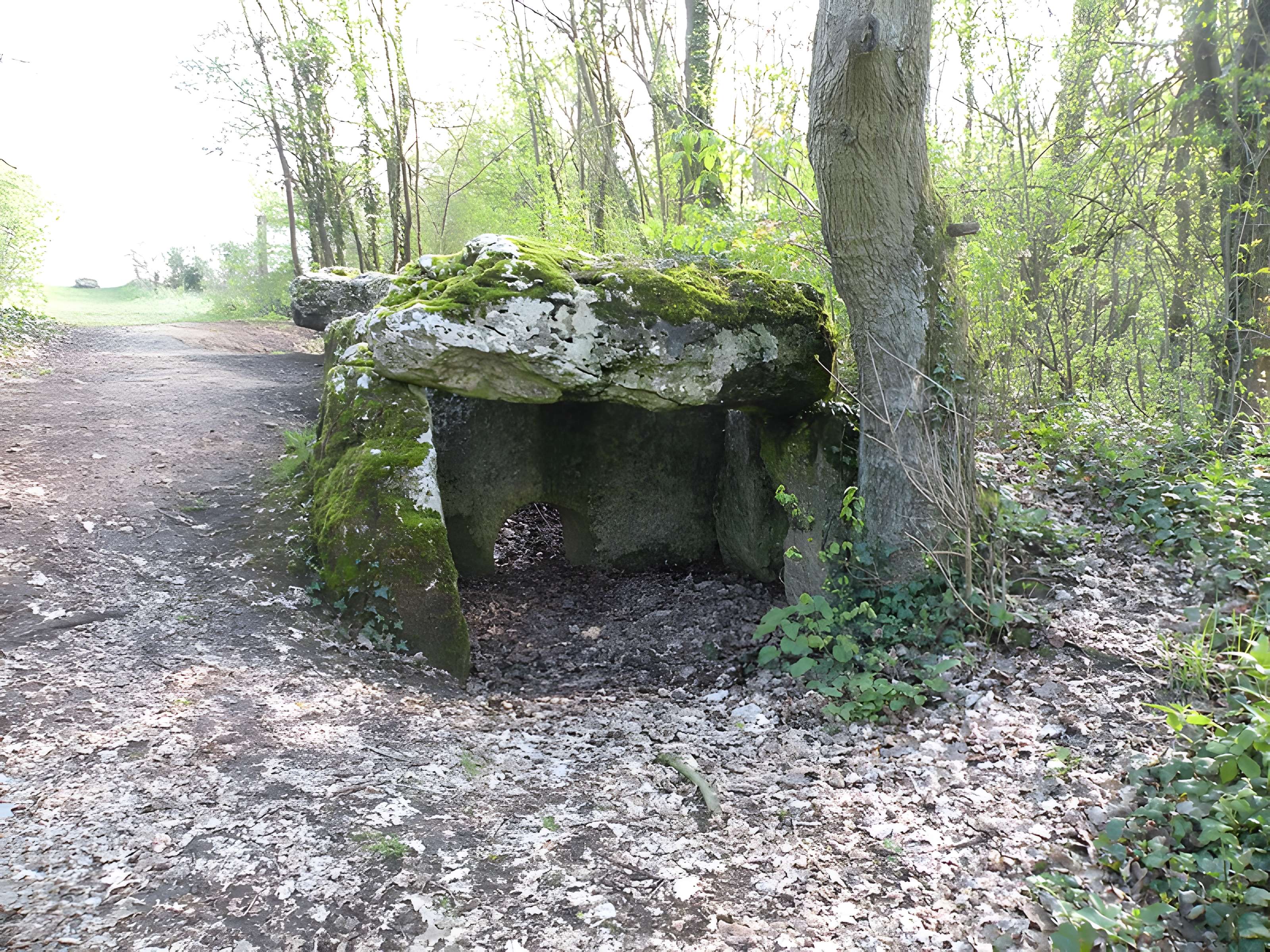 Dolmen de la Pierre-aux-Fées à Villers-Saint-Sépulcre