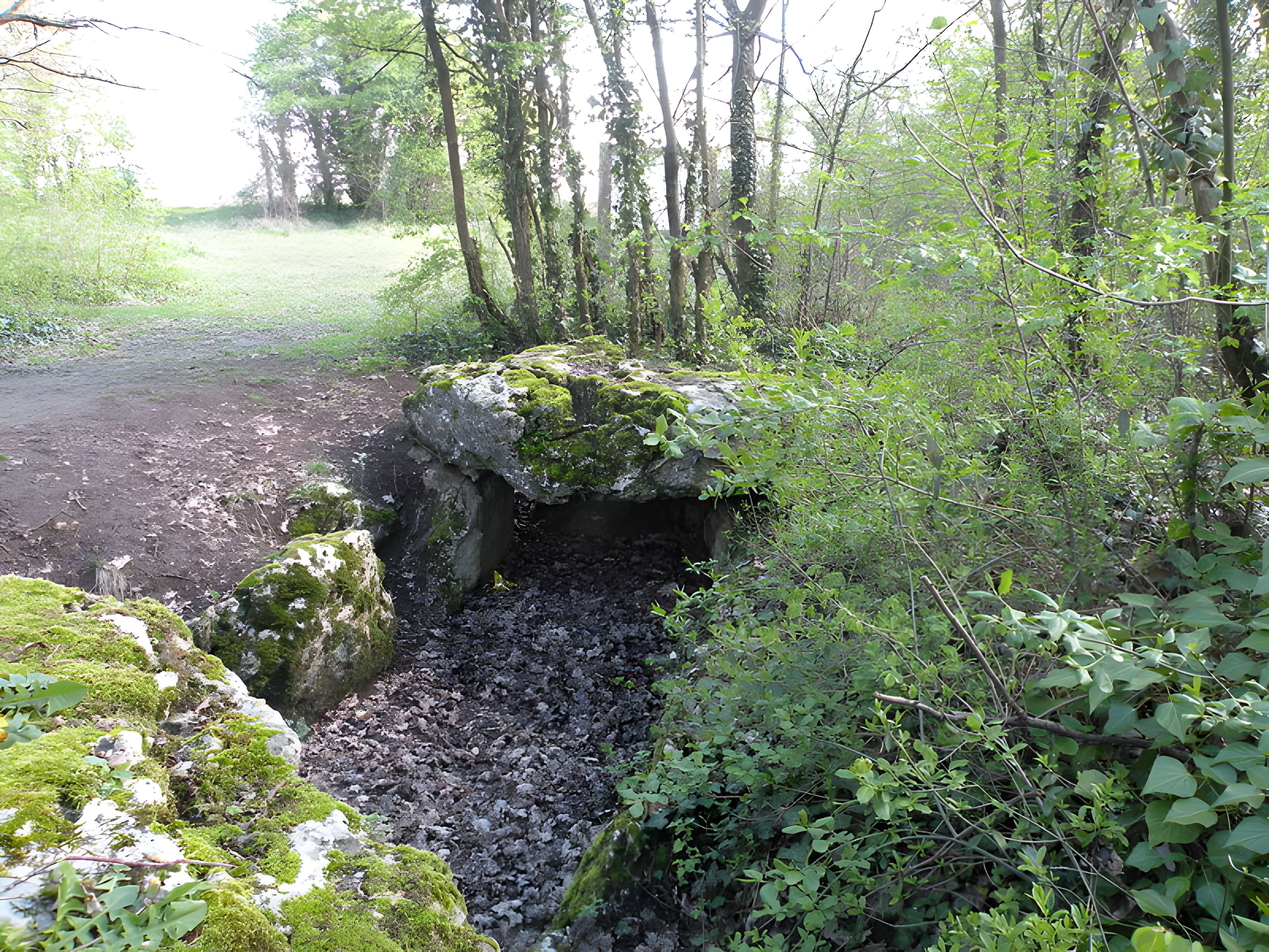 Dolmen de la Pierre-aux-Fées à Villers-Saint-Sépulcre