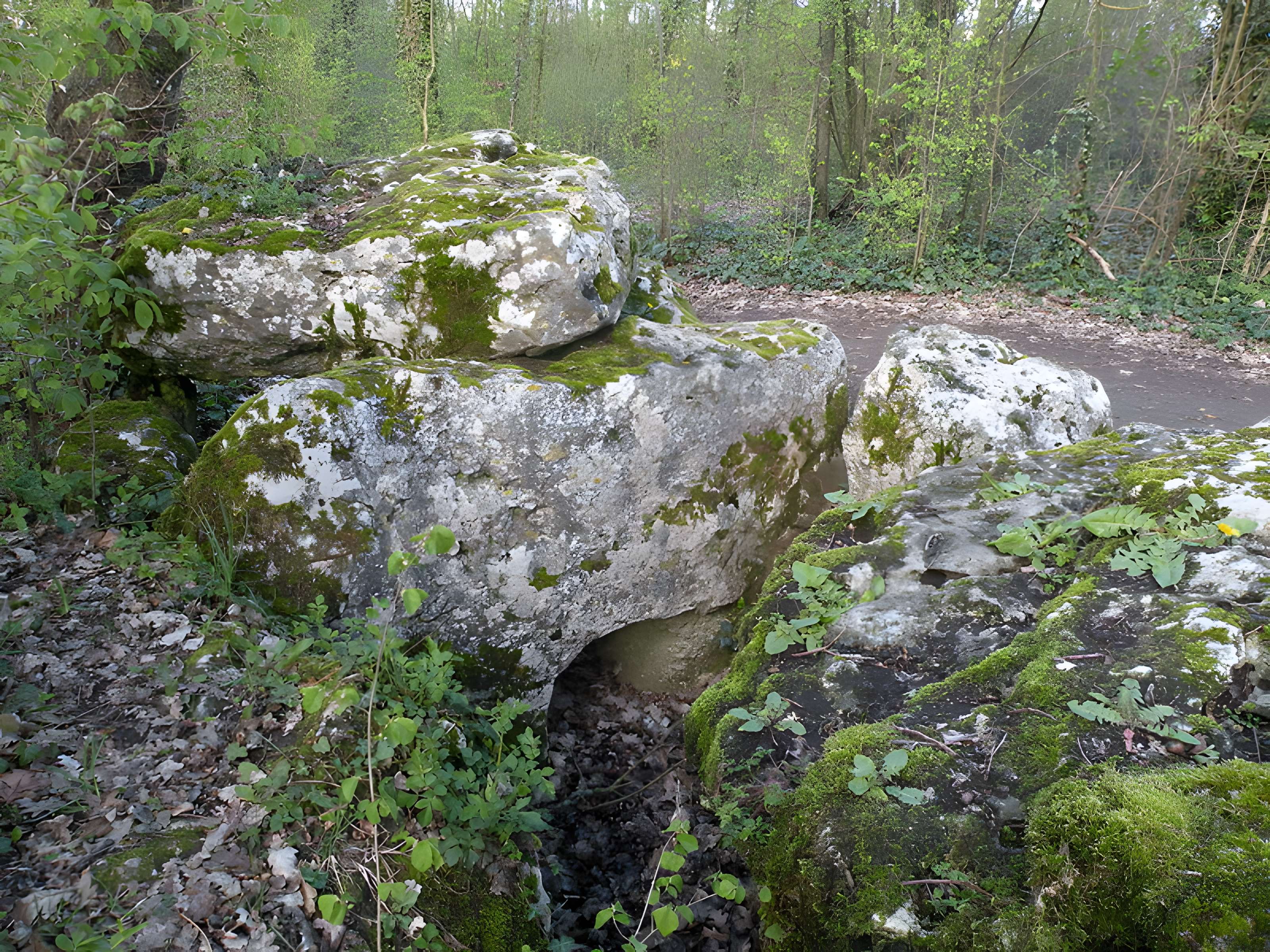 Dolmen de la Pierre-aux-Fées à Villers-Saint-Sépulcre