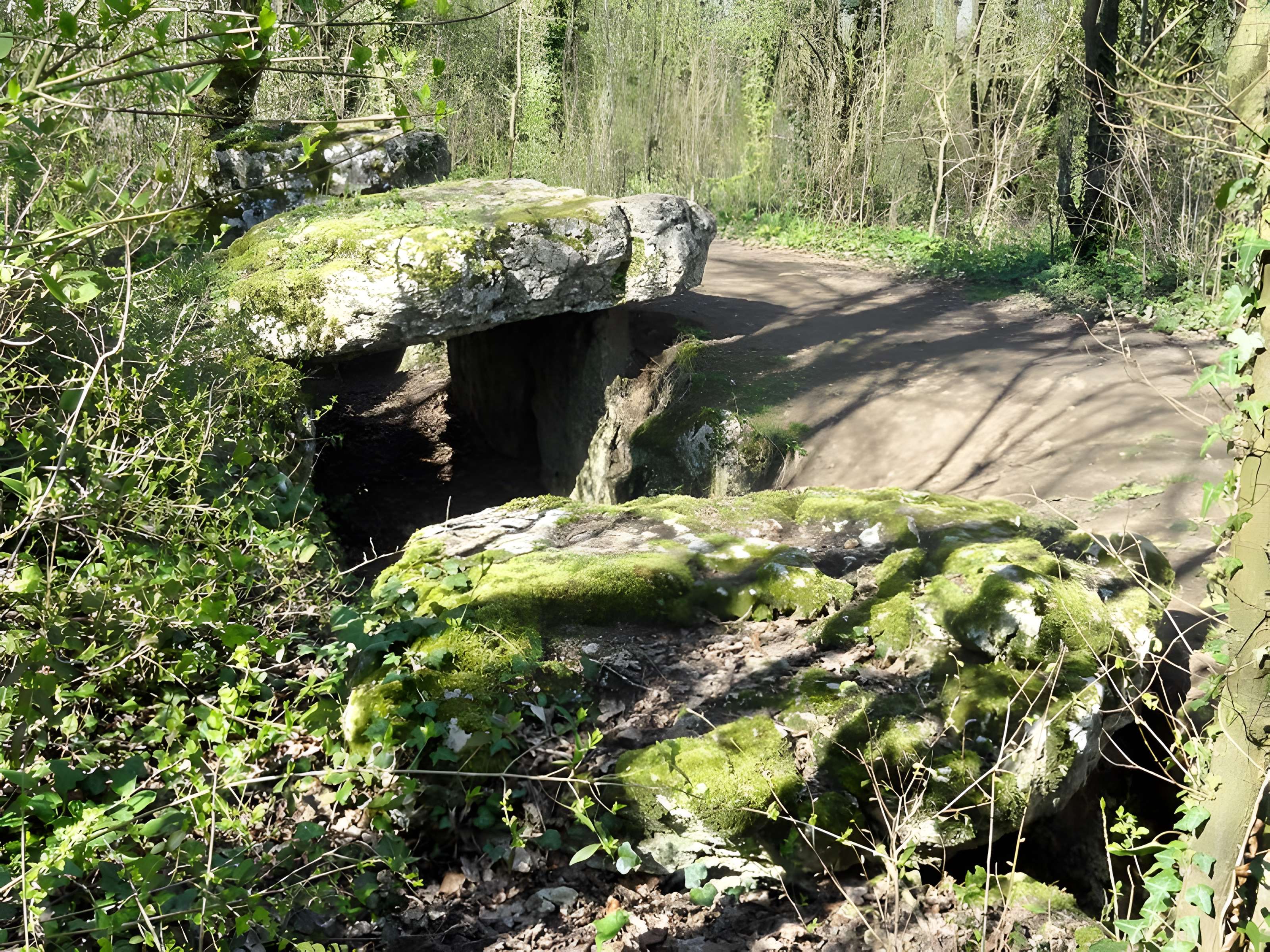 Dolmen de la Pierre-aux-Fées à Villers-Saint-Sépulcre