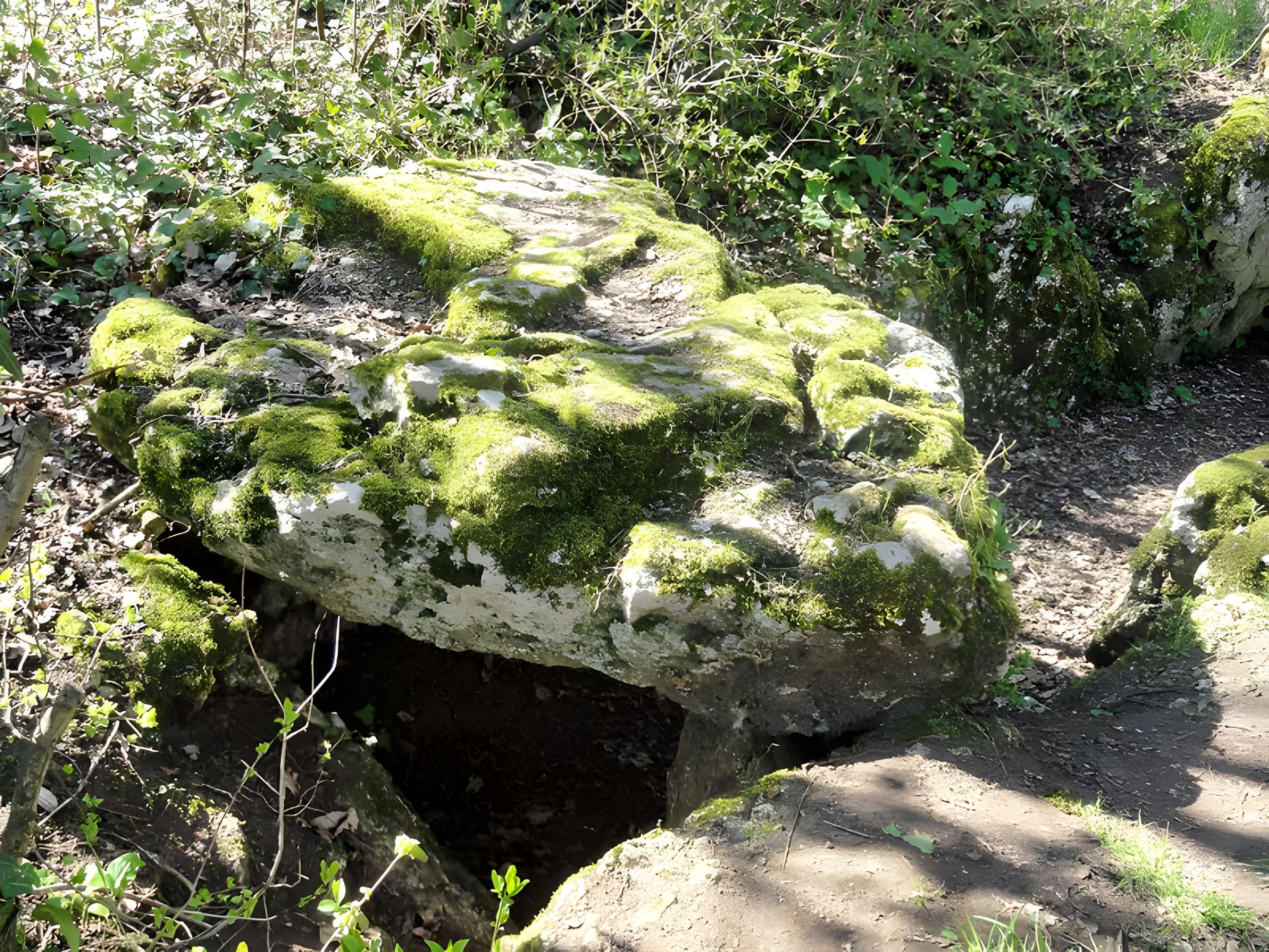 Dolmen de la Pierre-aux-Fées à Villers-Saint-Sépulcre