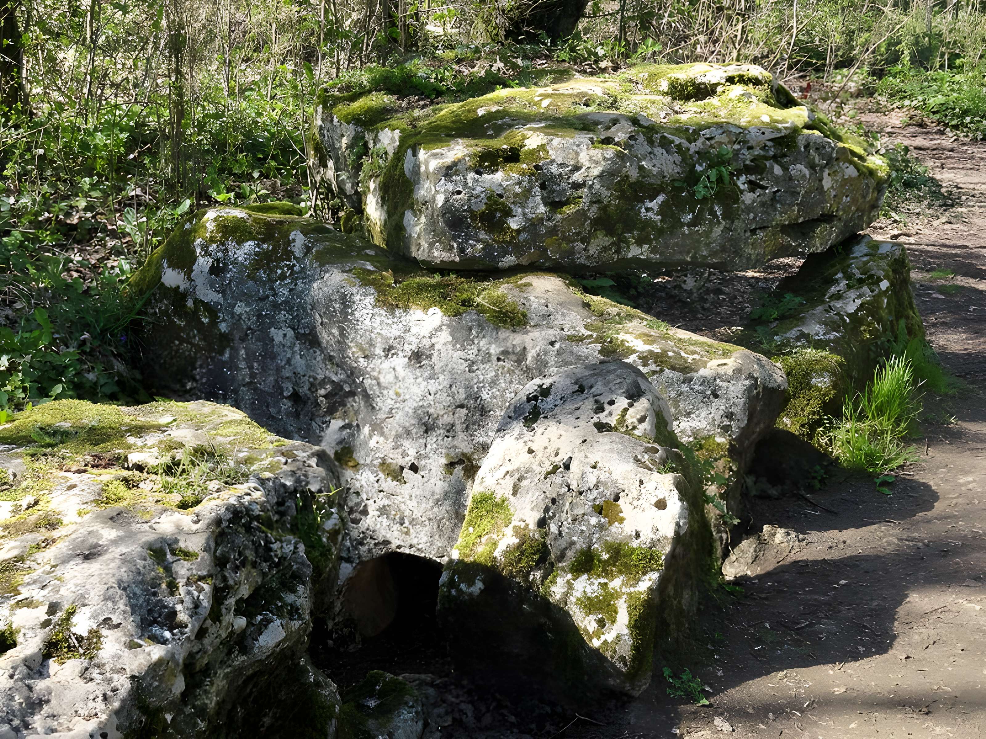 Dolmen de la Pierre-aux-Fées à Villers-Saint-Sépulcre