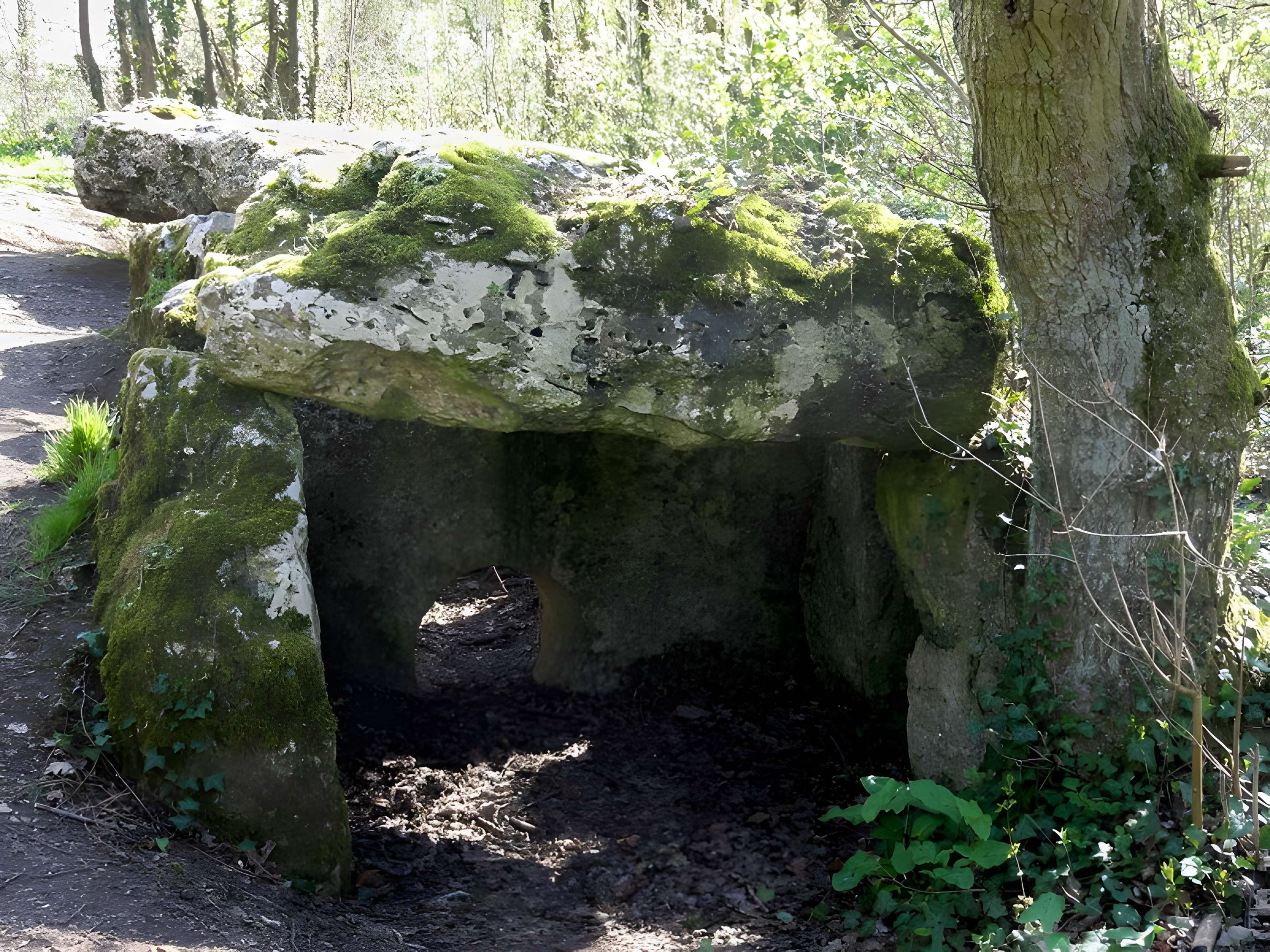 Dolmen de la Pierre-aux-Fées à Villers-Saint-Sépulcre