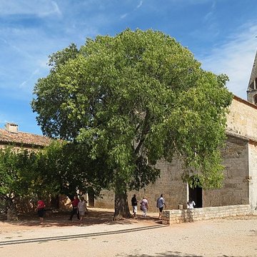 Abbaye du Thoronet
