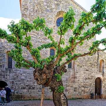 Abbaye du Thoronet