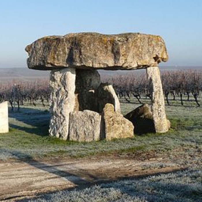 Photo de Dolmen de Saint-Fort-sur-le-Né