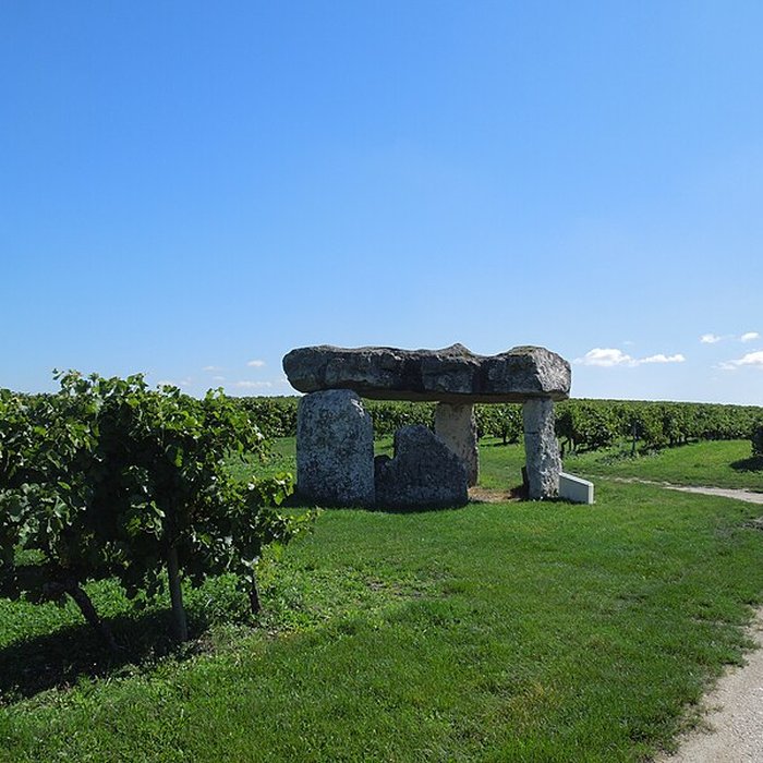 Photo de Dolmen de Saint-Fort-sur-le-Né