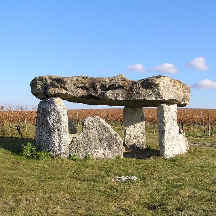 Photo de Dolmen de Saint-Fort-sur-le-Né