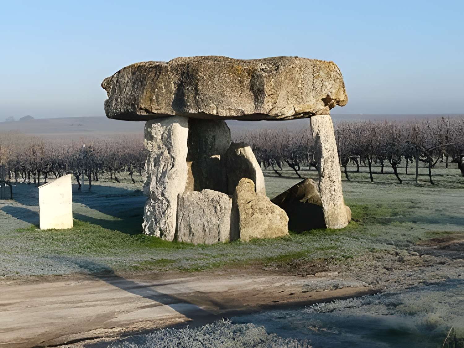 Dolmen de Saint-Fort-sur-le-Né 