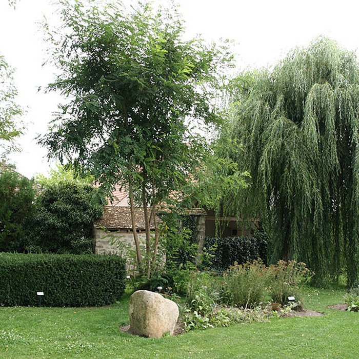 Photo de Chapelle Saint-Blaise-des-Simples de Milly-la-Forêt