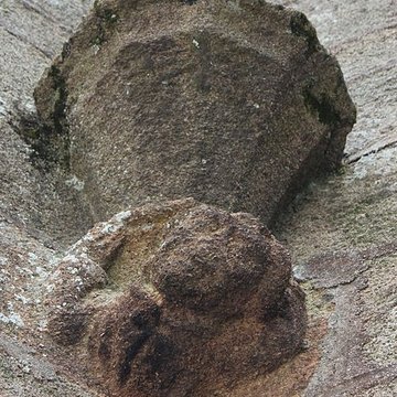 Chapelle Saint-Christophe de Lorient