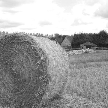 Dolmen des Erves à Sainte-Suzanne