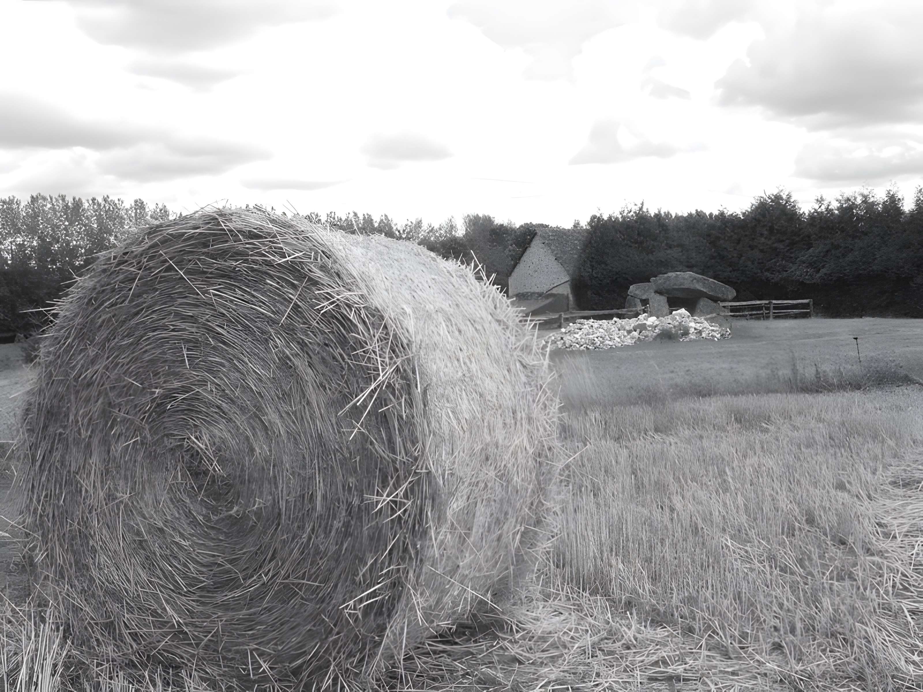 Dolmen des Erves à Sainte-Suzanne