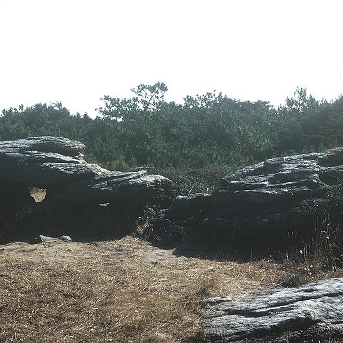 Photo de Dolmen des Petits Fradets à LÎle-dYeu