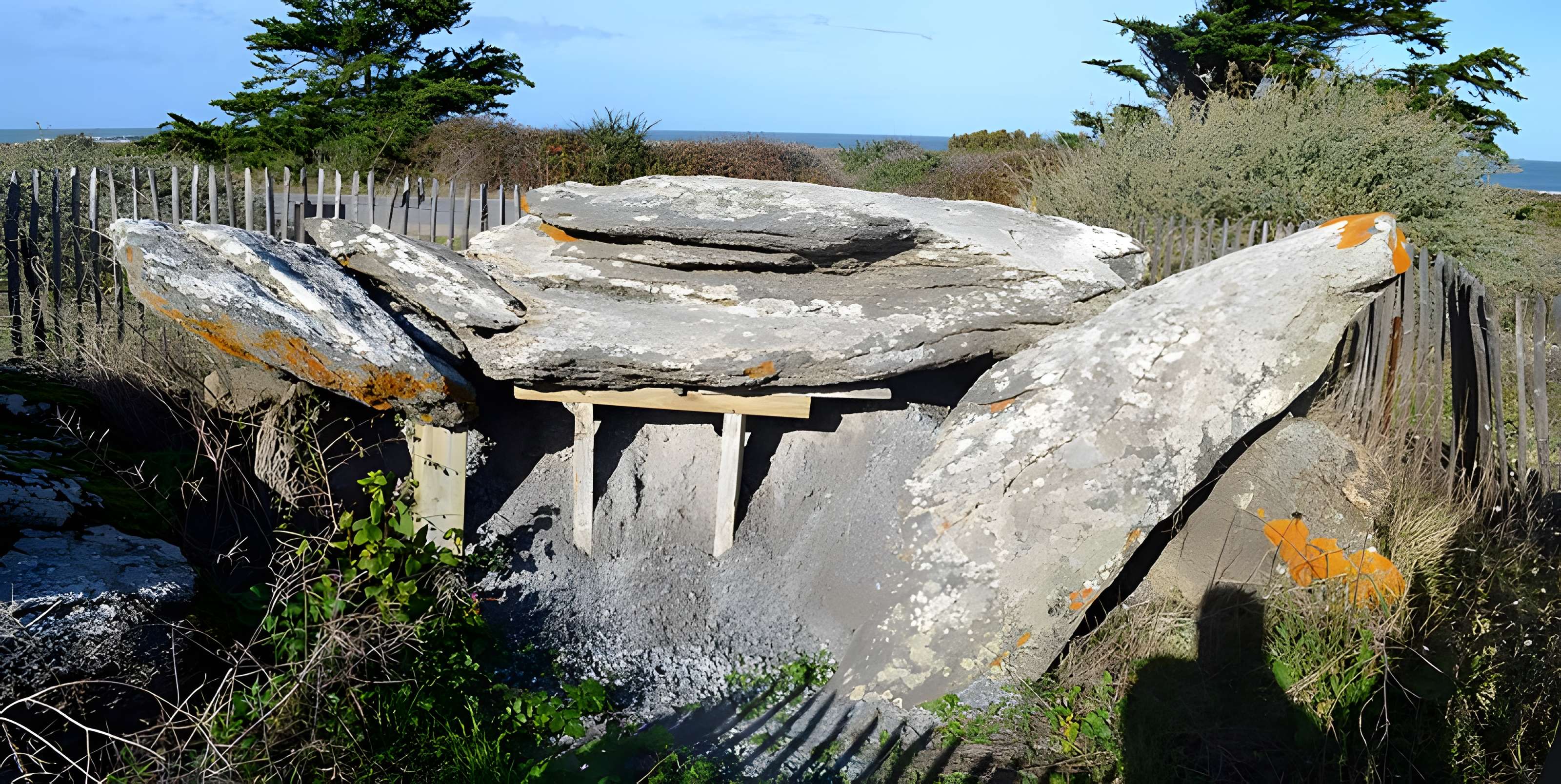 Dolmen des Petits Fradets à L'Île-d'Yeu
