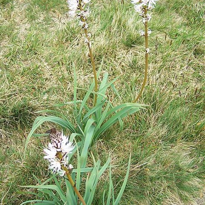 Photo de Chapelle Sainte-Barbe et maison du garde