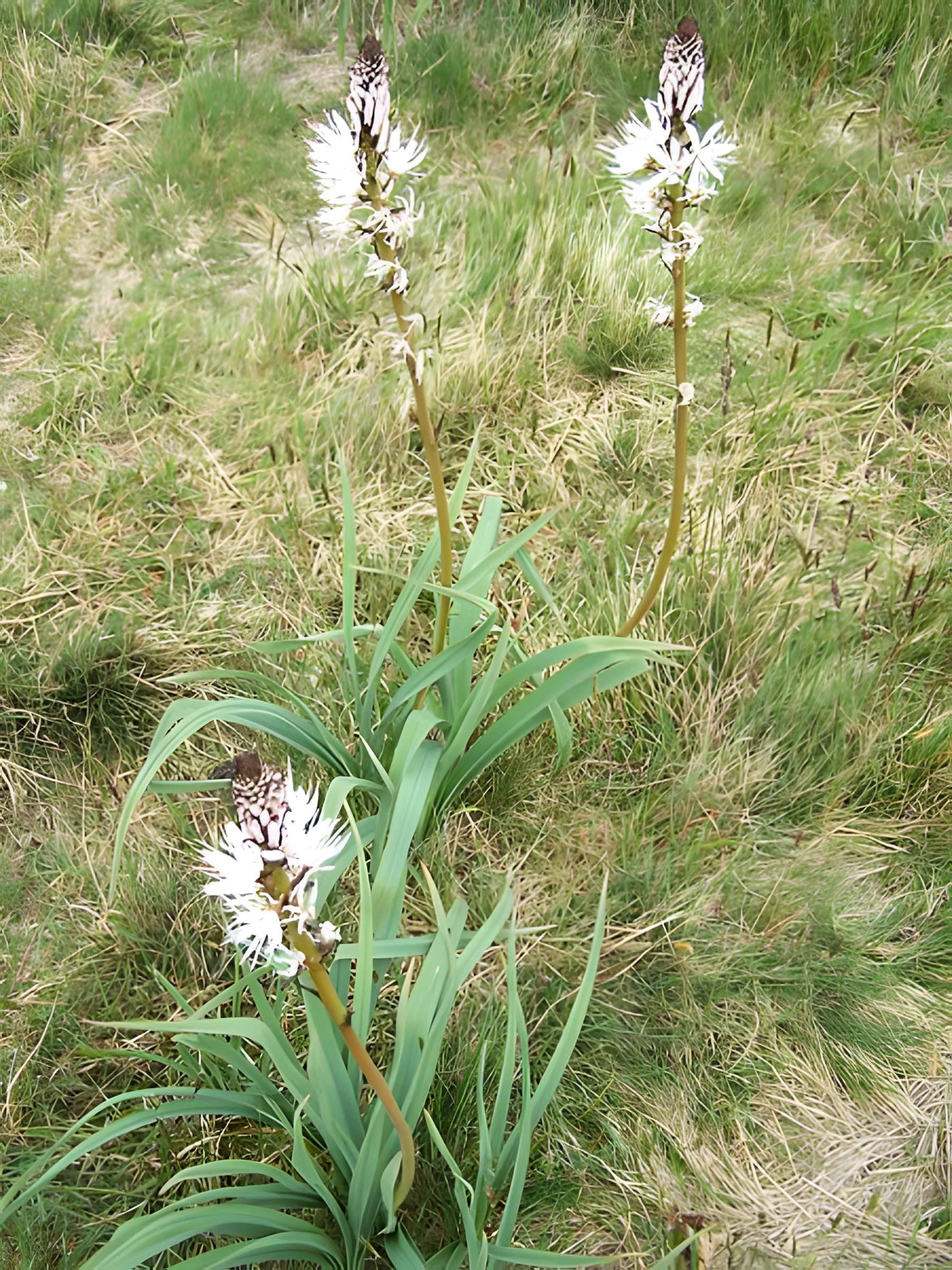 Chapelle Sainte-Barbe et maison du garde