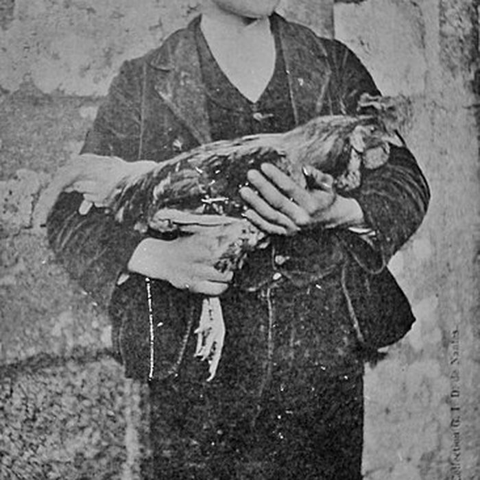 Photo de Chapelle Saint-Gildas de Carnoët