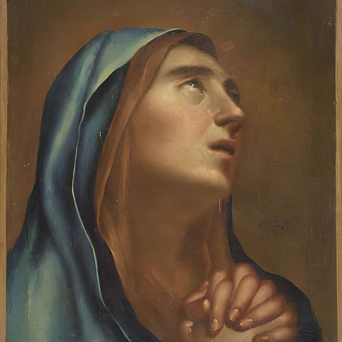 Photo de Domaine National de Jossigny