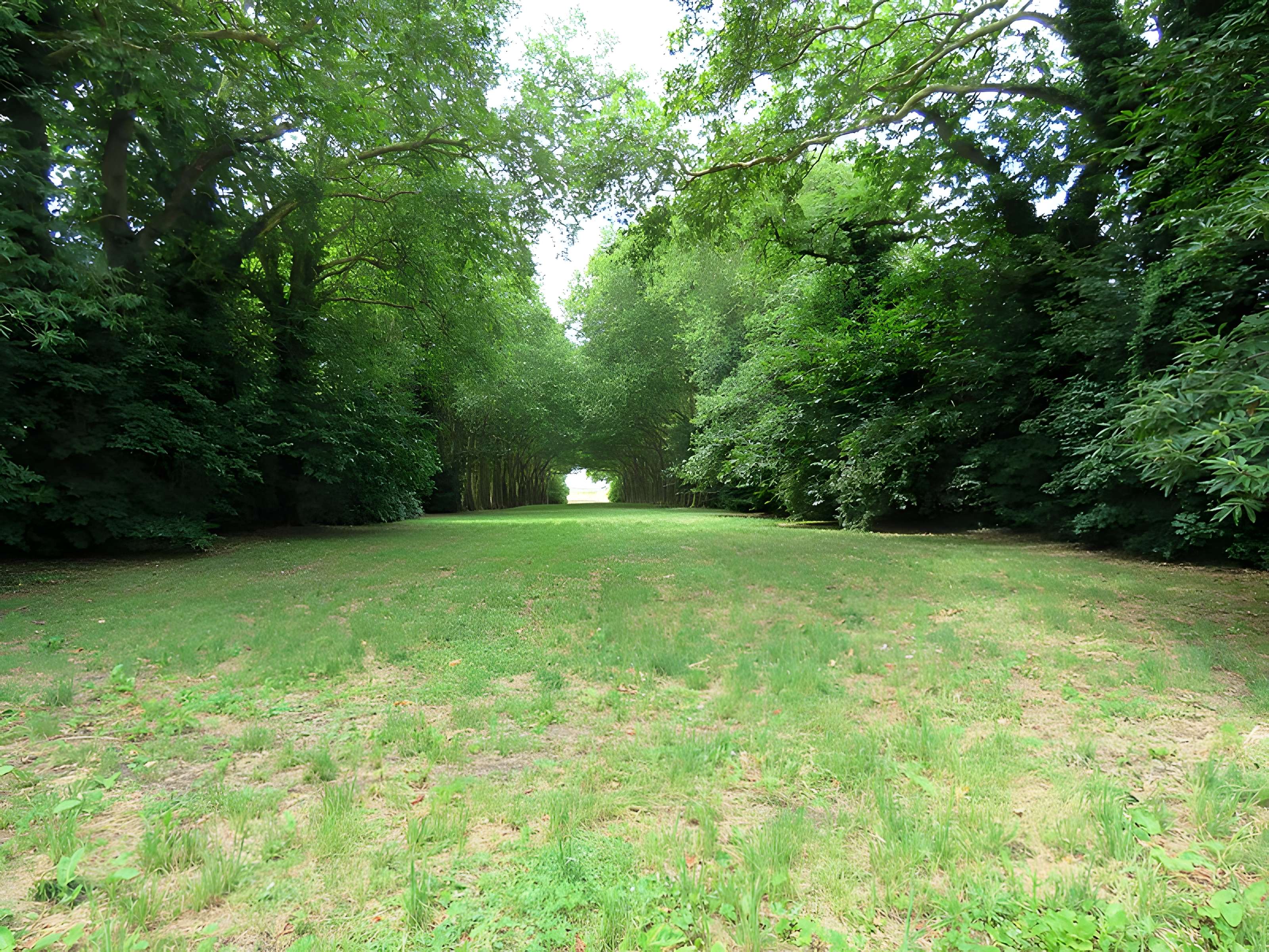 Domaine National de Jossigny