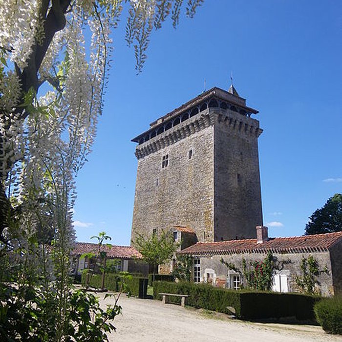 Photo de Donjon de Bazoges-en-Pareds