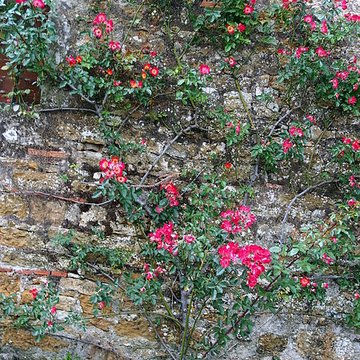 Donjon de Bazoges-en-Pareds