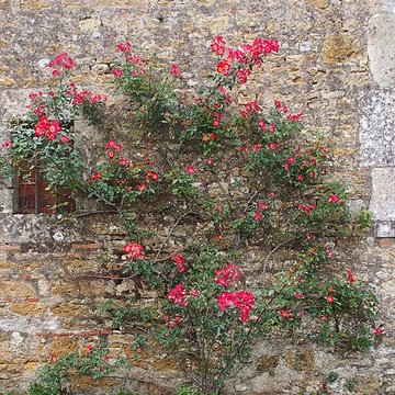 Donjon de Bazoges-en-Pareds