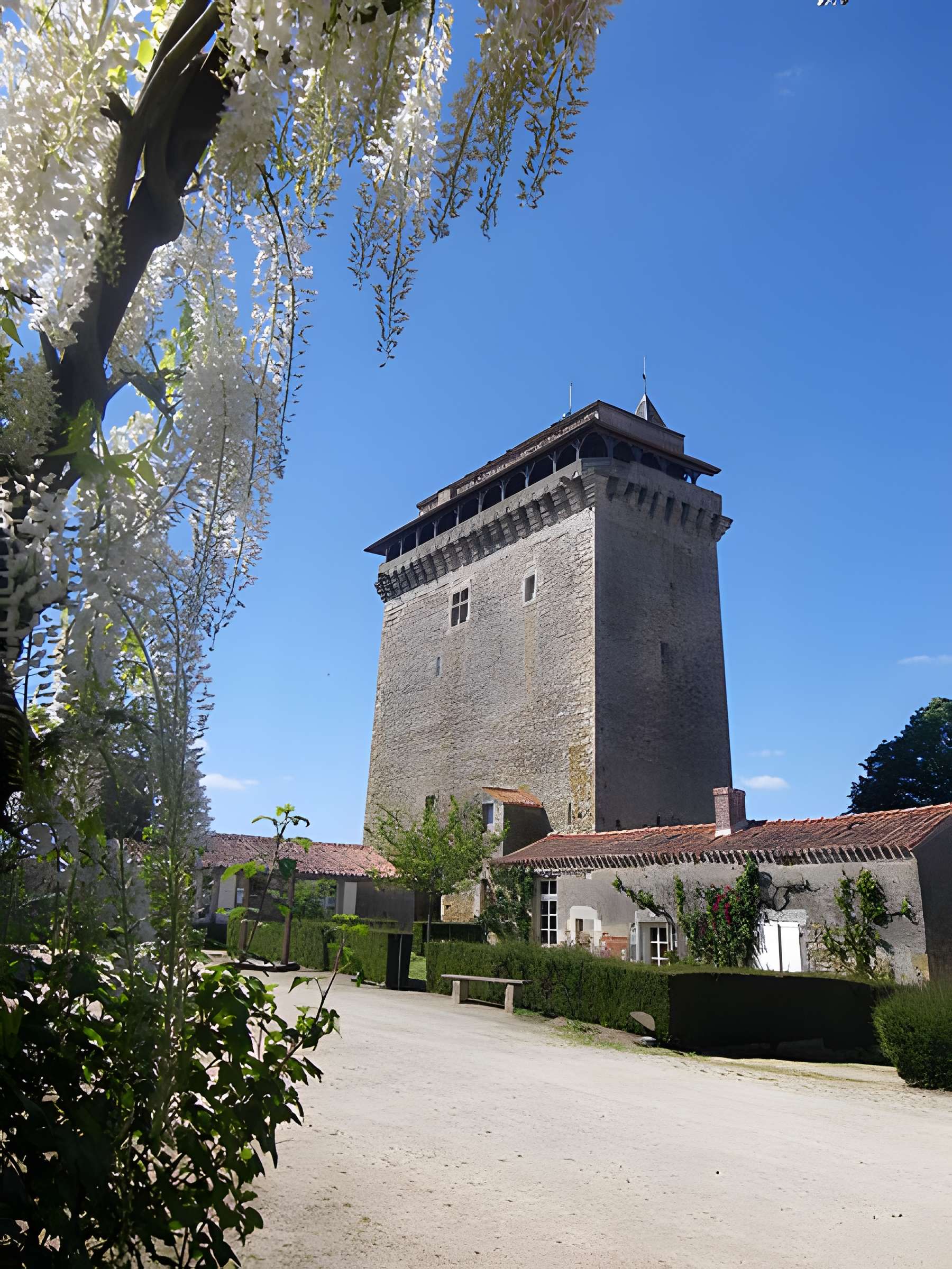 Donjon de Bazoges-en-Pareds