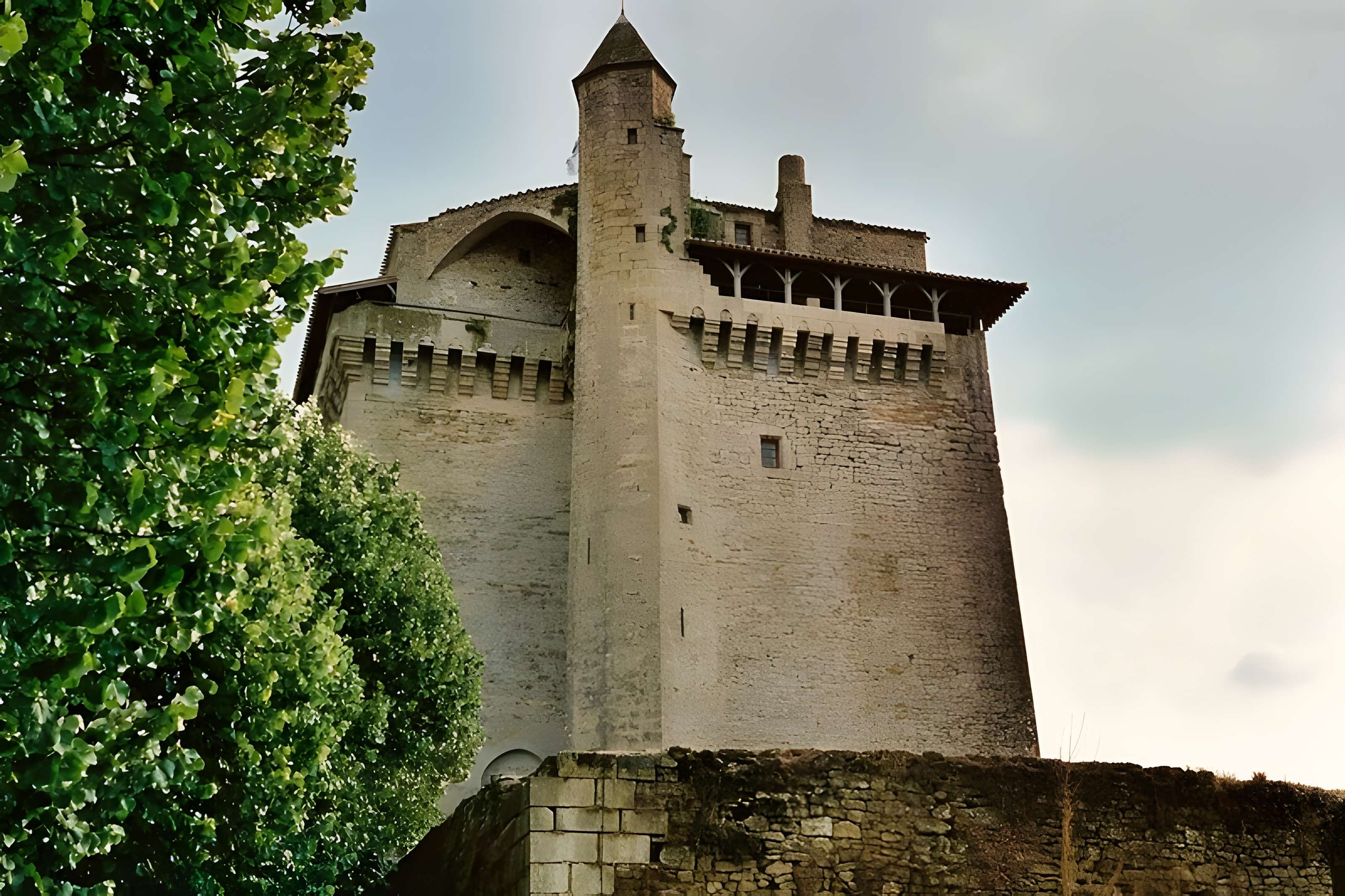 Donjon de Bazoges-en-Pareds