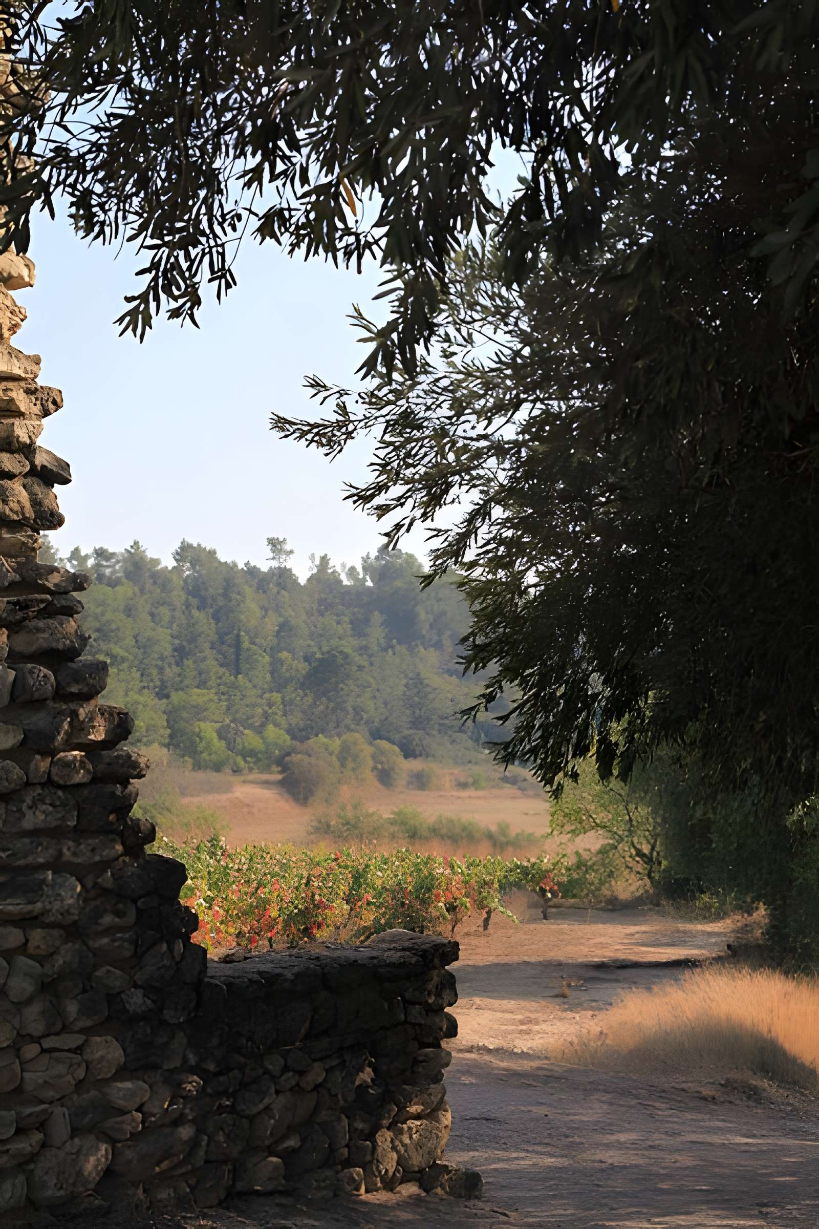 Chapelle Saint-Laurent de Moussan