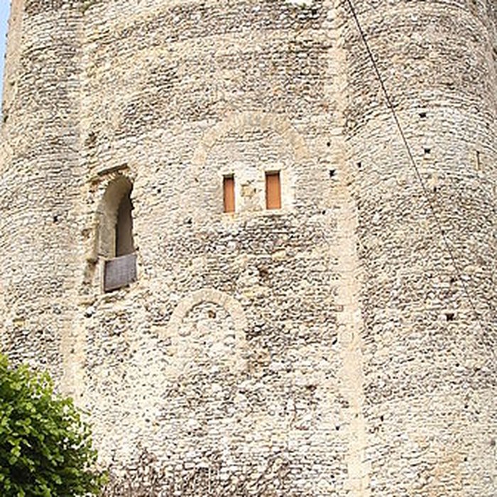 Photo de Donjon de Houdan