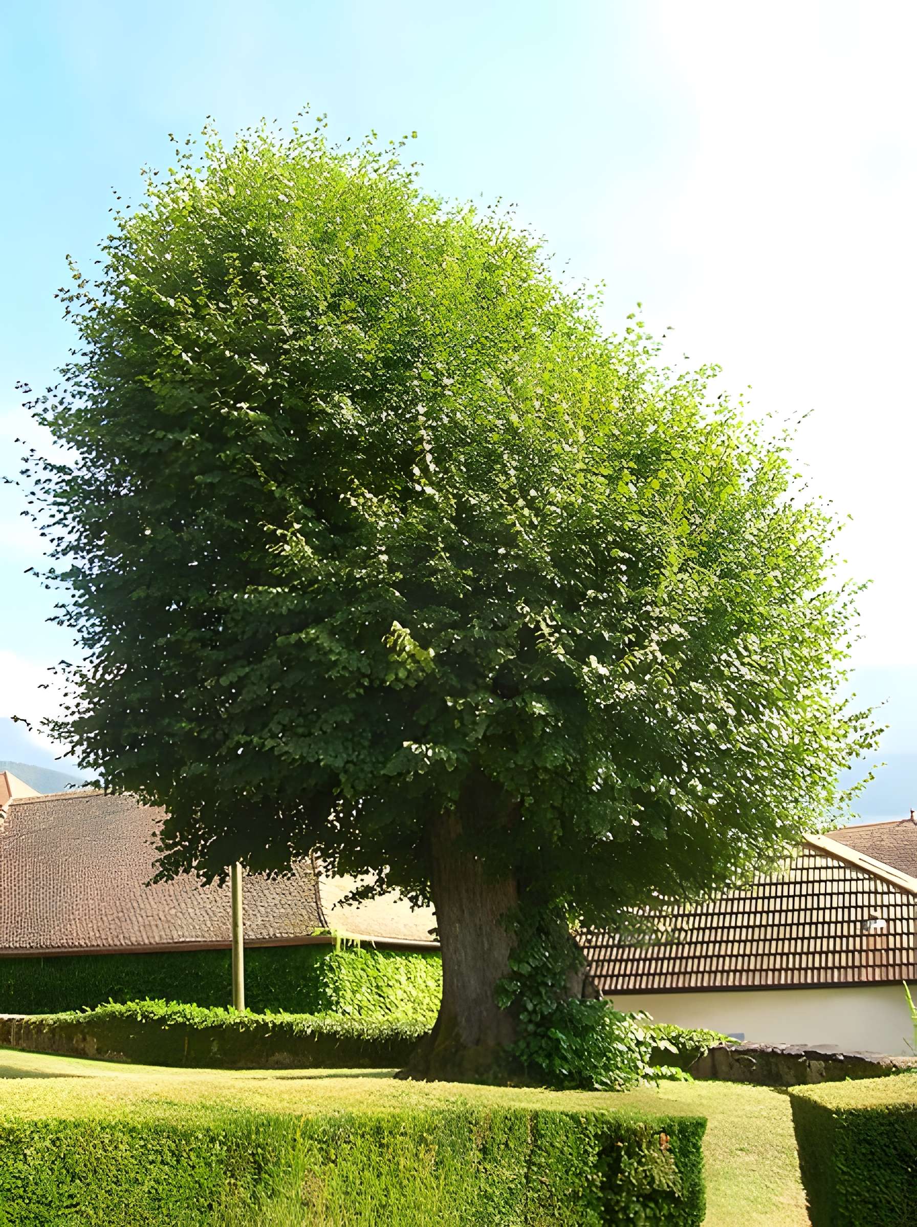 Chapelle Saint-Nizier de Saint-Martin-d'Uriage