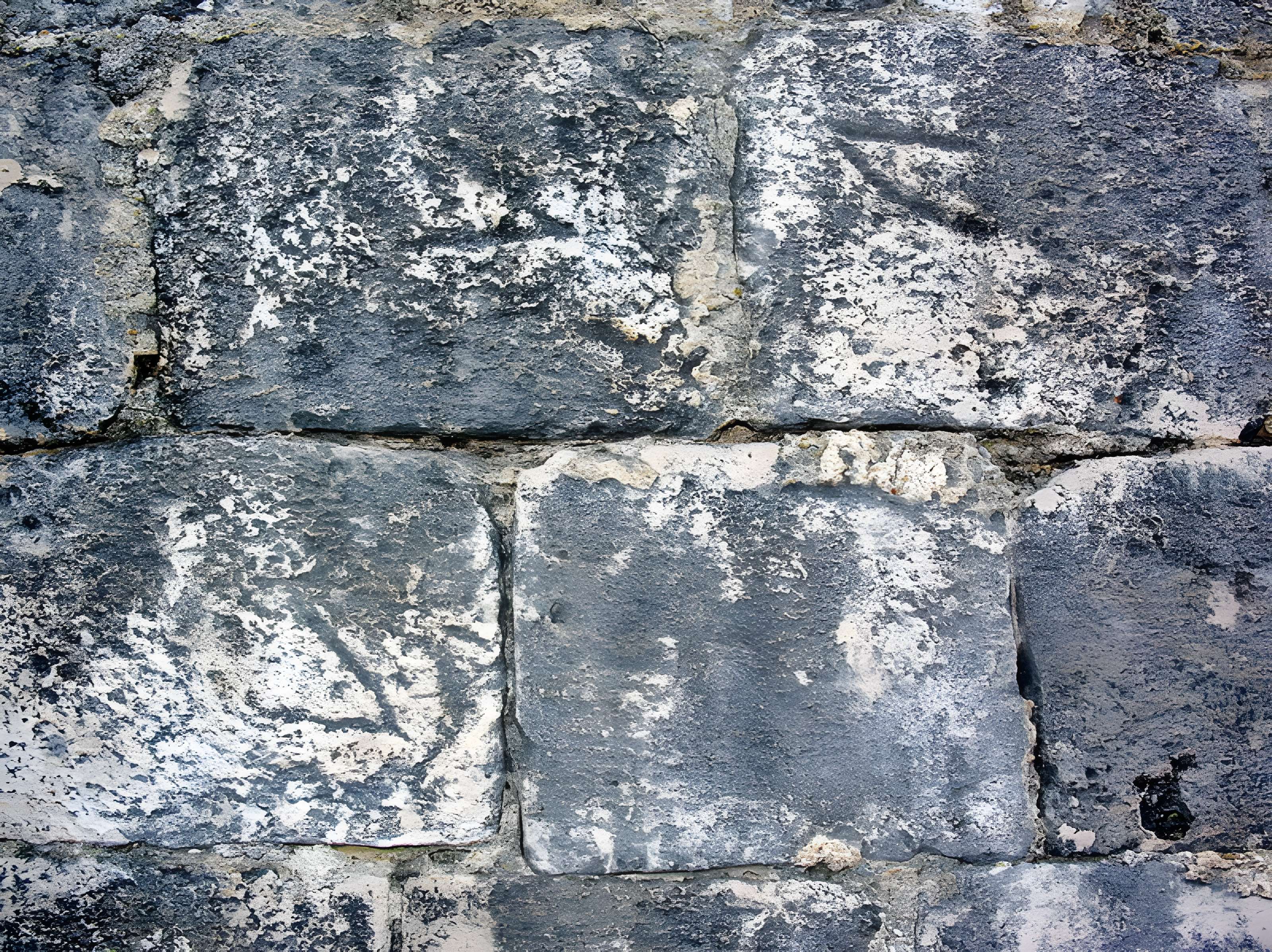 Chapelle Saint-Romain de Seillans