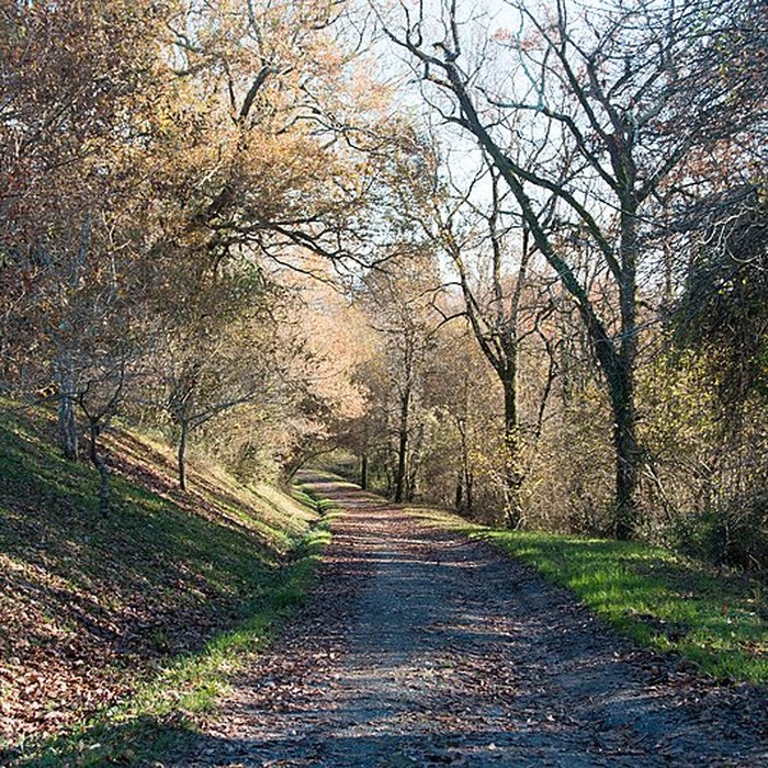 Photo de Chapelle Saint-Sauveur de Jatxou
