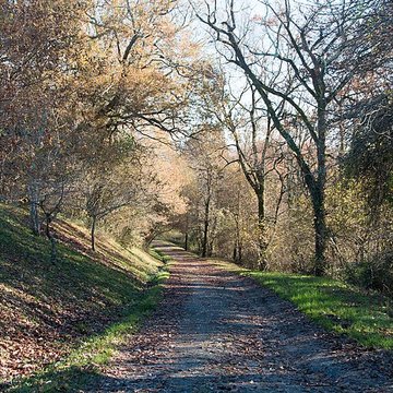 Chapelle Saint-Sauveur de Jatxou