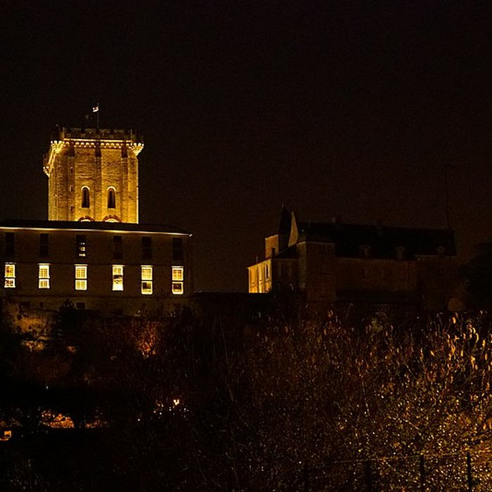 Photo de Donjon de Pons
