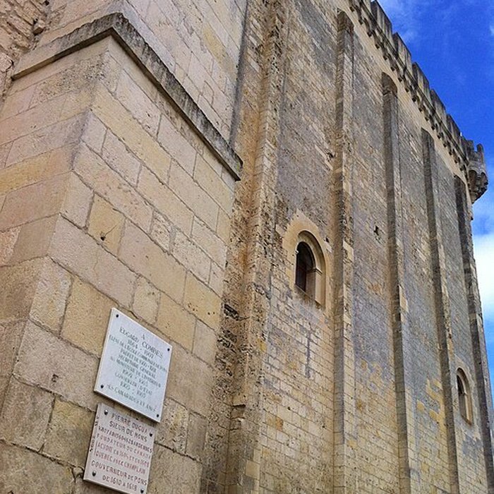 Photo de Donjon de Pons