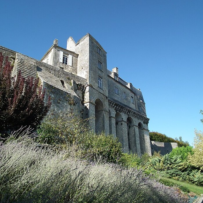 Photo de Donjon de Pons