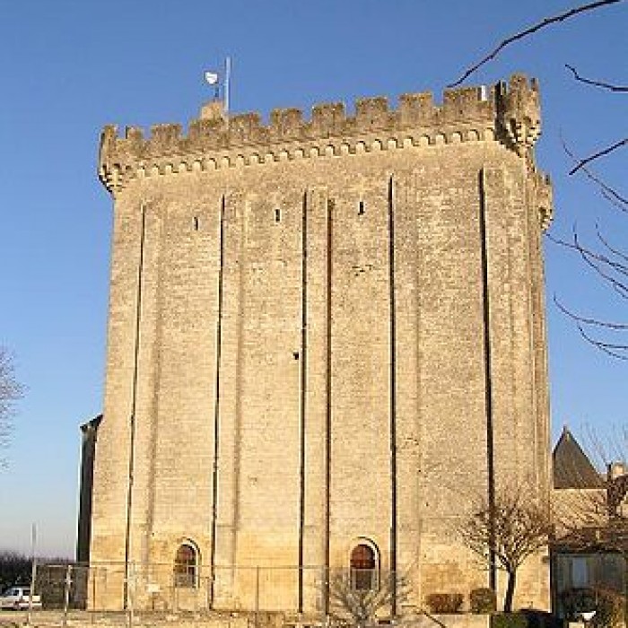 Photo de Donjon de Pons