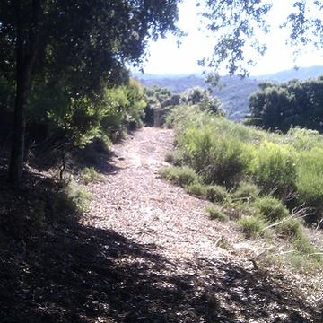 Chapelle SanPetru di Panicala à Forciolo