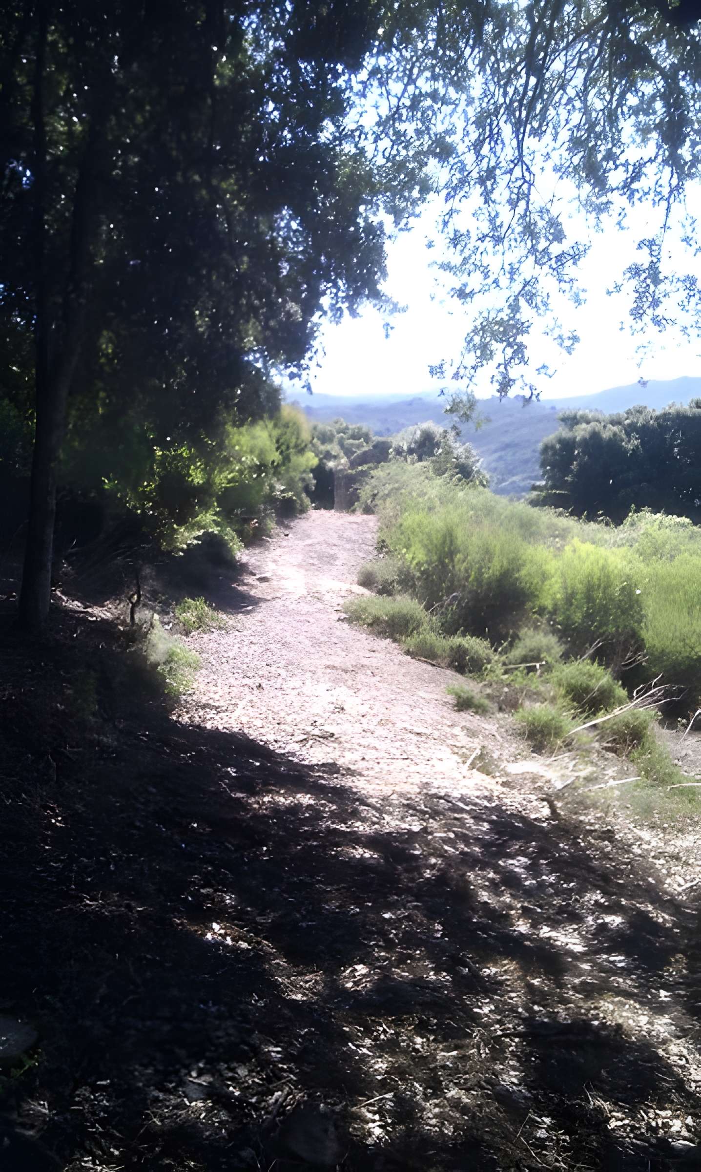 Chapelle San'Petru di Panicala à Forciolo