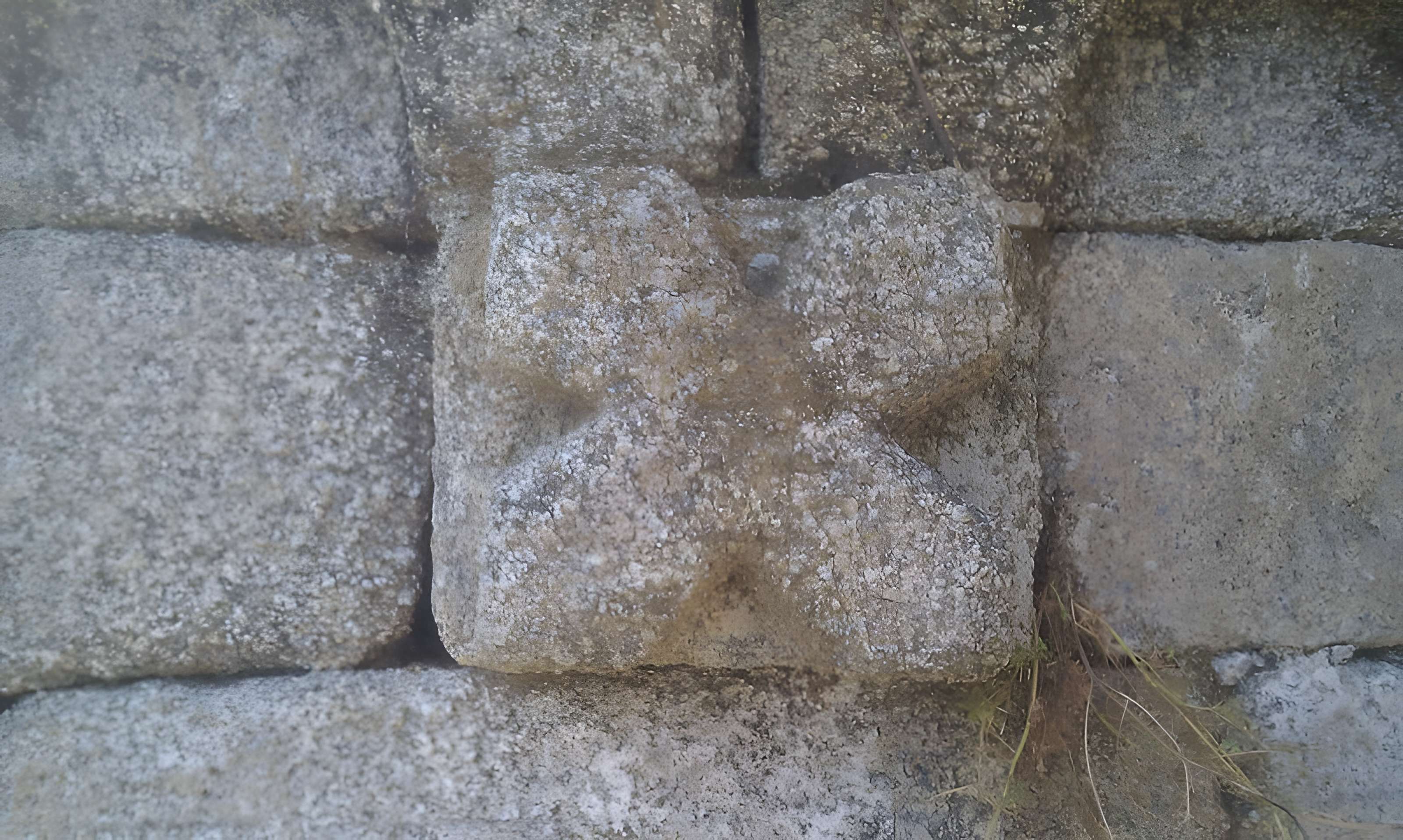 Chapelle San'Petru di Panicala à Forciolo