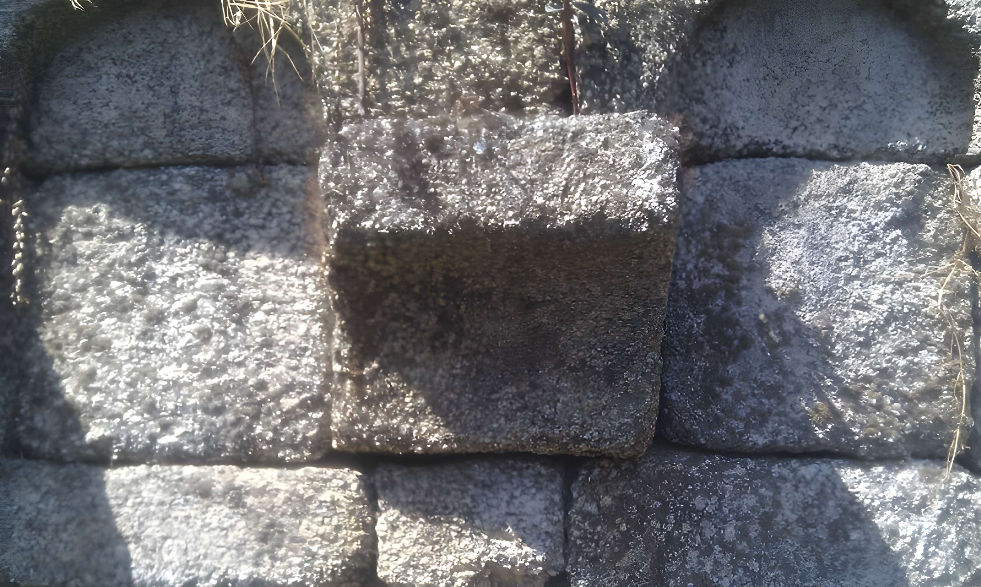 Chapelle San'Petru di Panicala à Forciolo