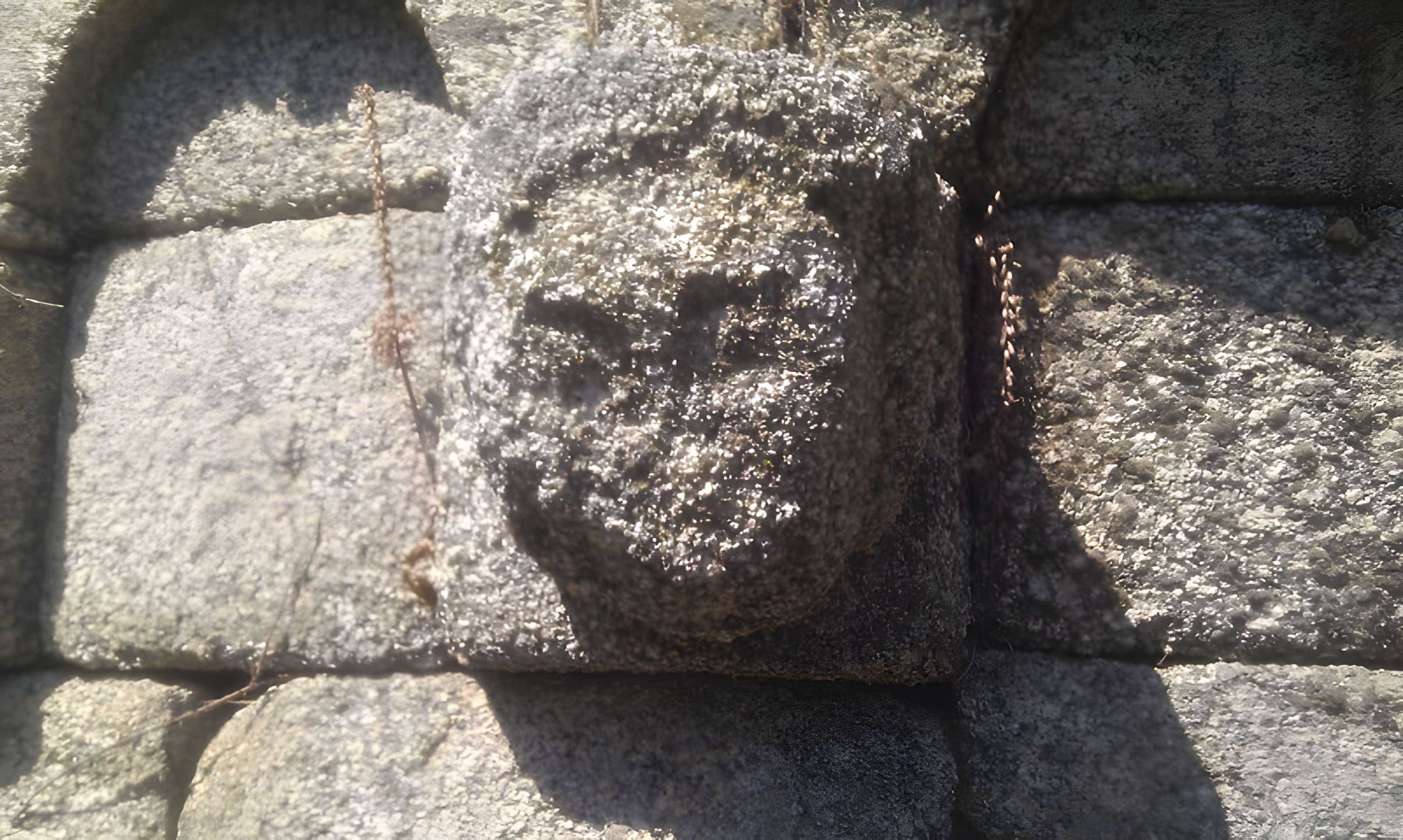 Chapelle San'Petru di Panicala à Forciolo