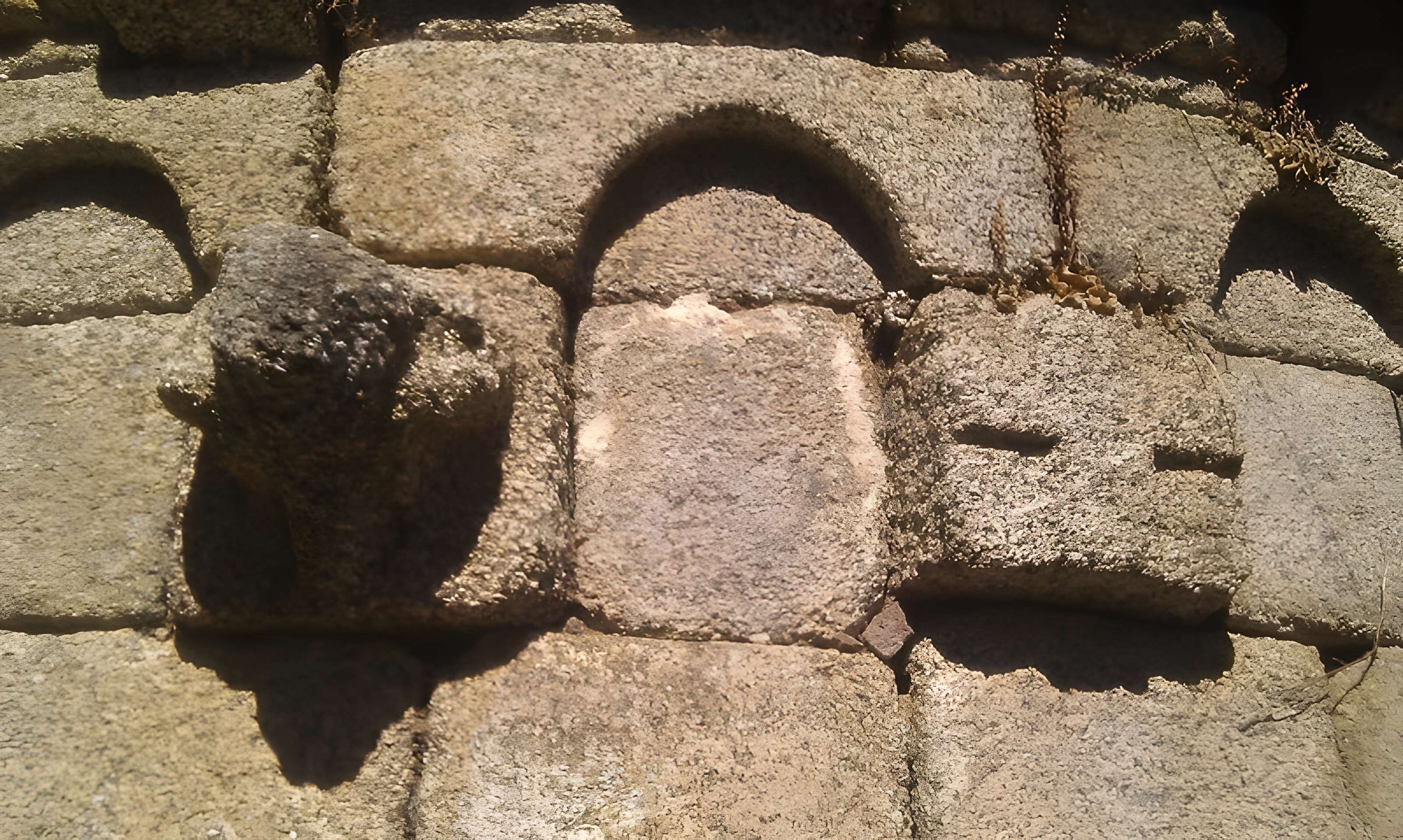 Chapelle San'Petru di Panicala à Forciolo