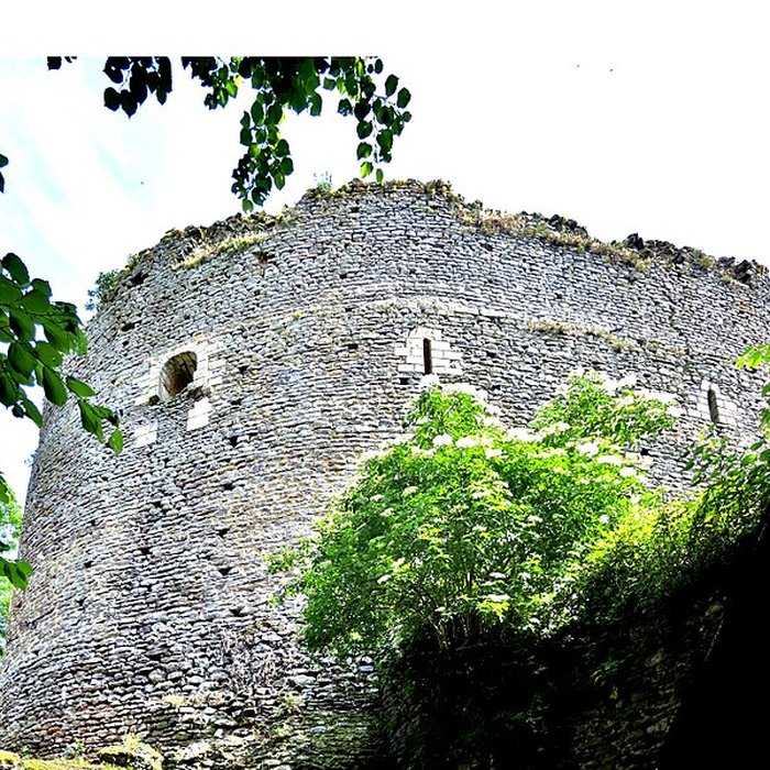 Photo de Donjon de Saint-Sauveur-en-Puisaye