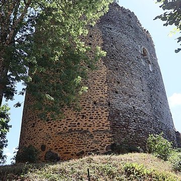 Donjon de Saint-Sauveur-en-Puisaye