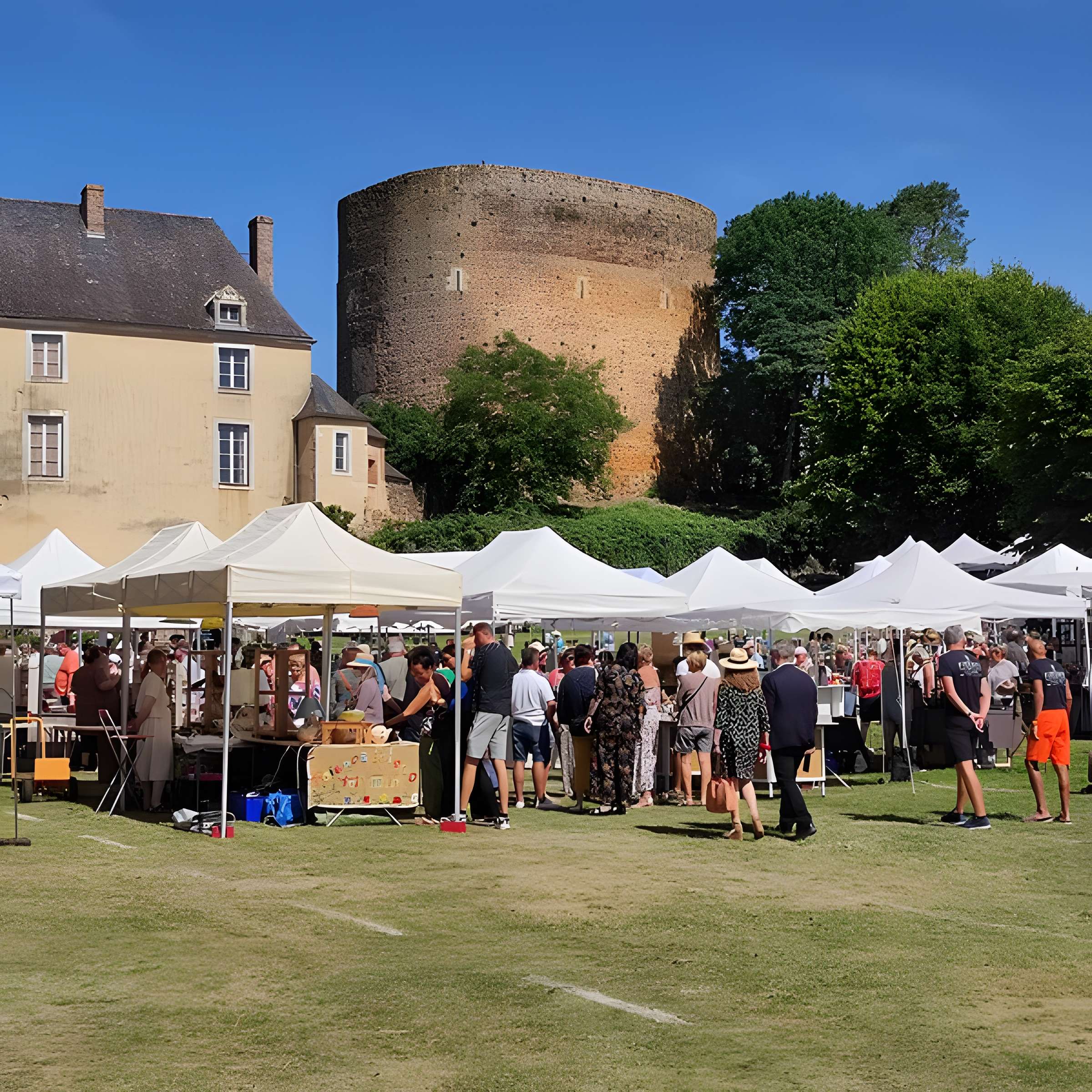 Donjon de Saint-Sauveur-en-Puisaye