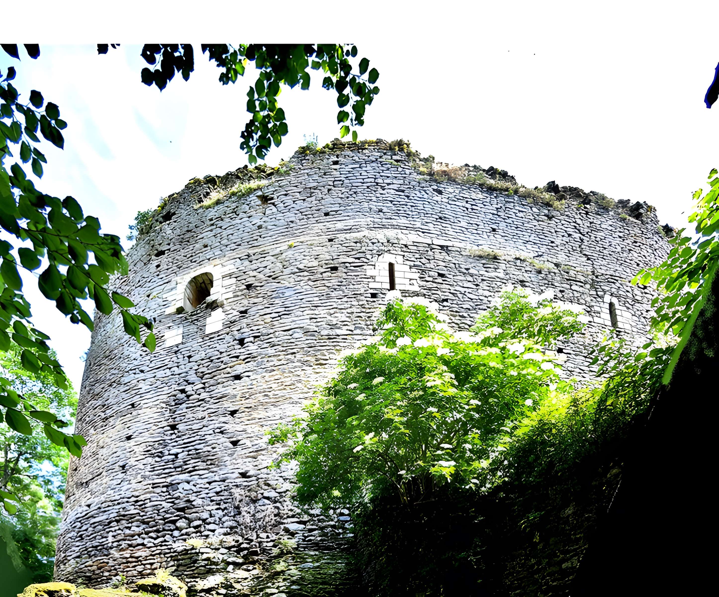 Donjon de Saint-Sauveur-en-Puisaye