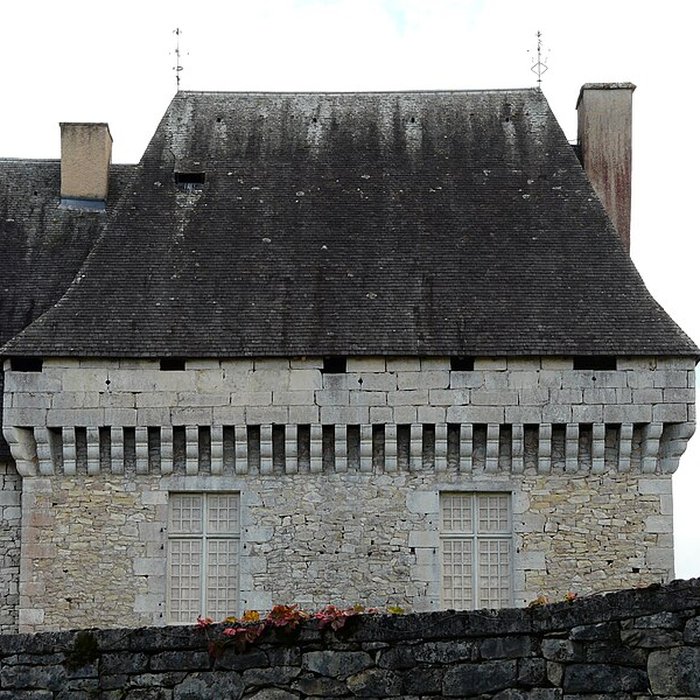 Photo de Château dAjat